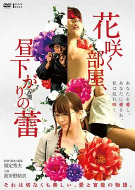 折光悬疑电影免费在线观看